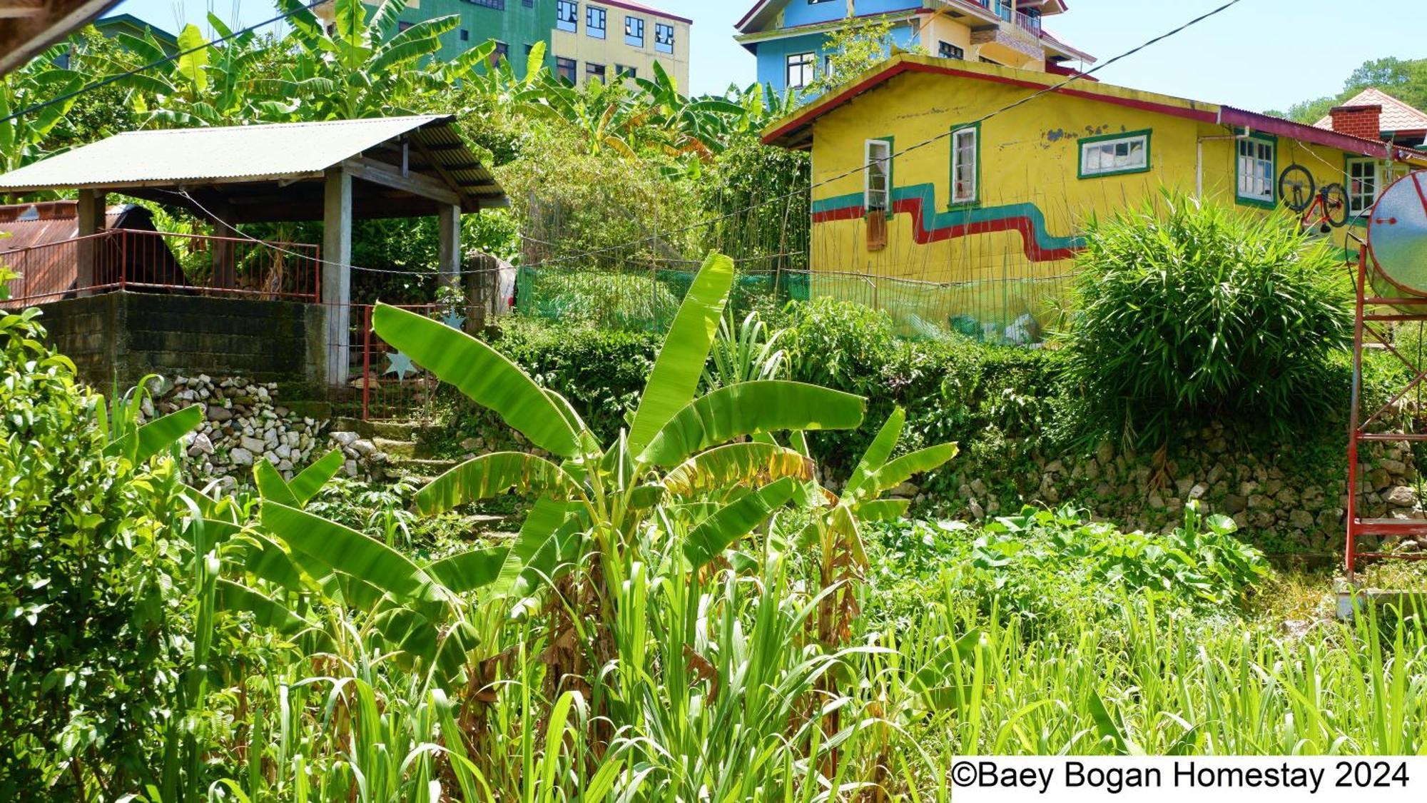 Baey Bogan Homestay Сагада Экстерьер фото