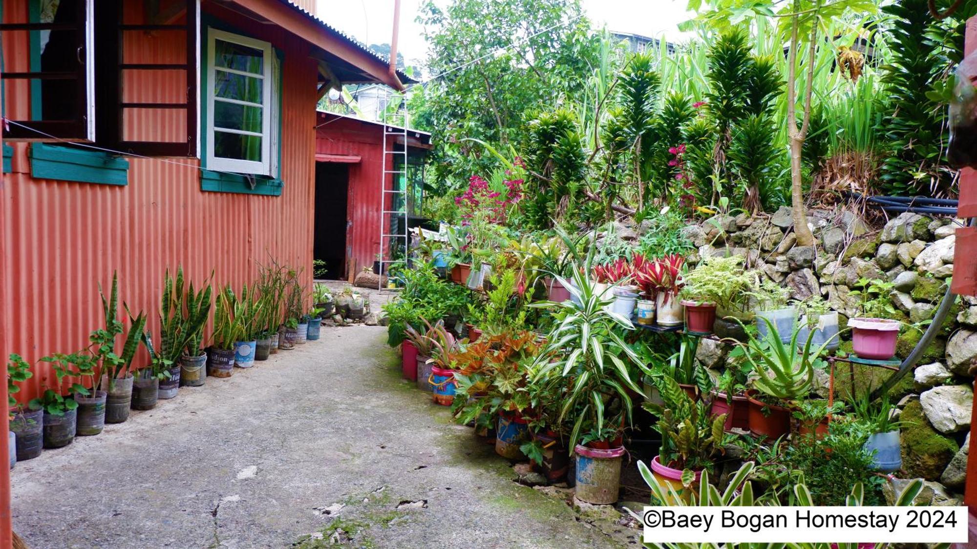 Baey Bogan Homestay Сагада Экстерьер фото