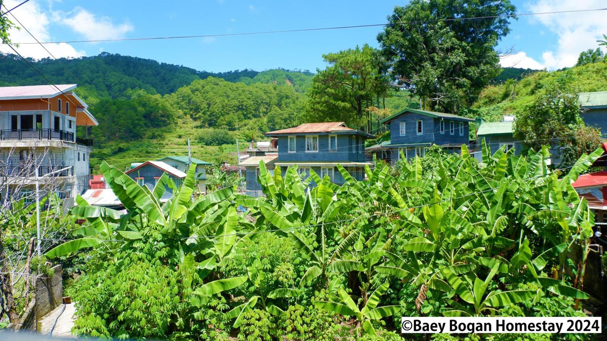 Baey Bogan Homestay Сагада Экстерьер фото