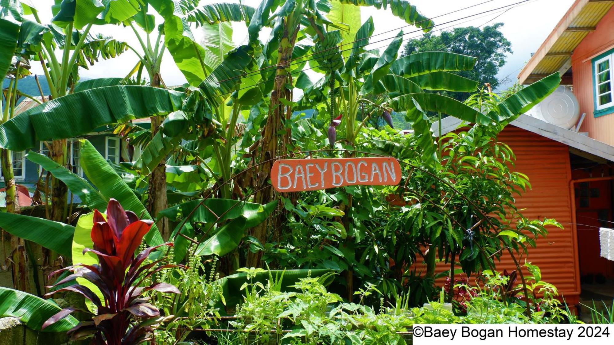 Baey Bogan Homestay Сагада Экстерьер фото