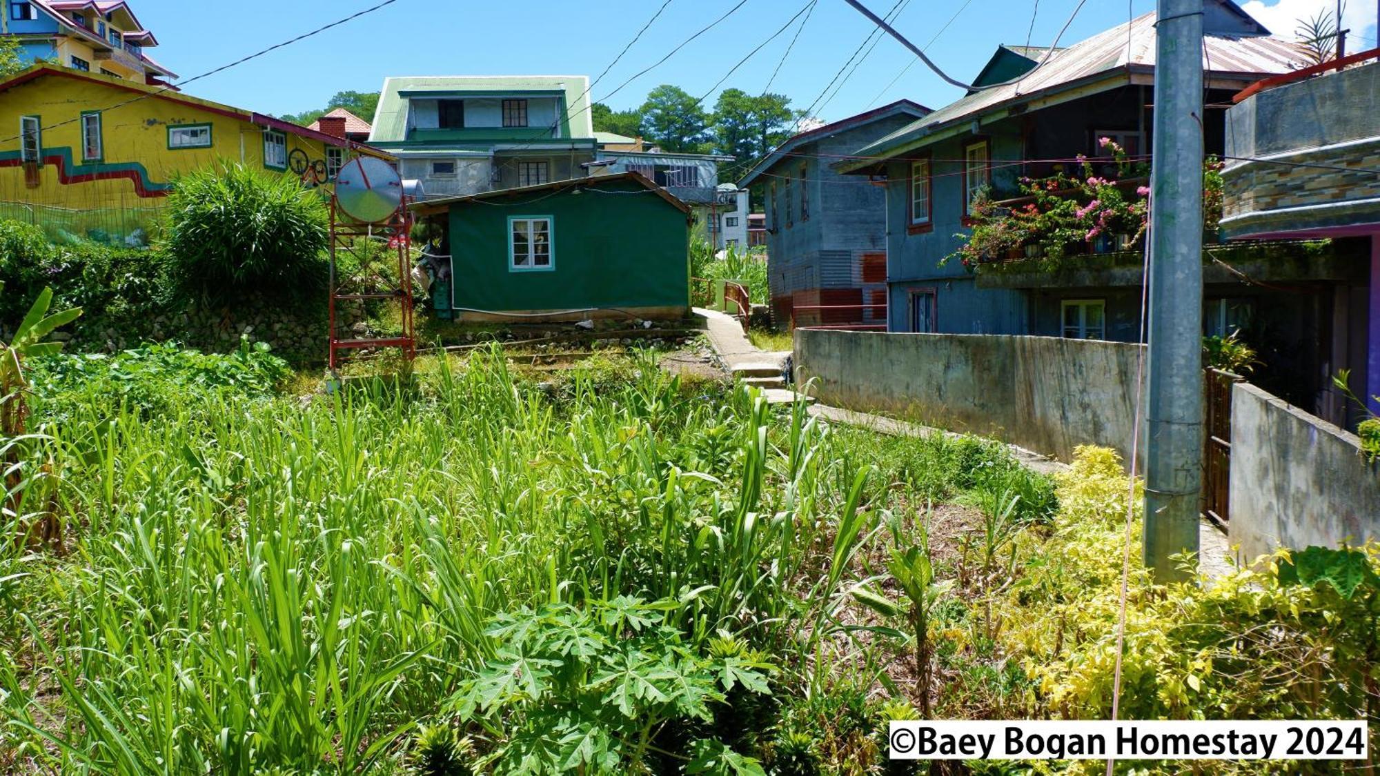 Baey Bogan Homestay Сагада Экстерьер фото