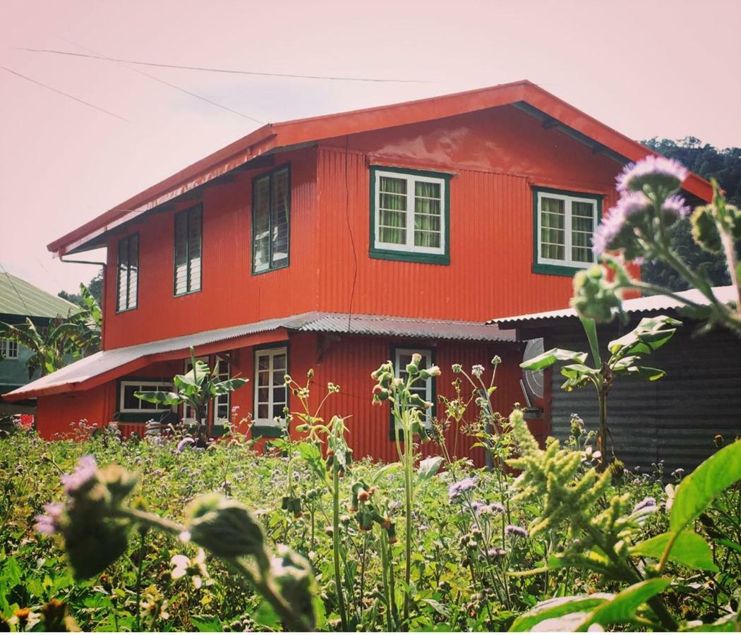 Baey Bogan Homestay Сагада Экстерьер фото